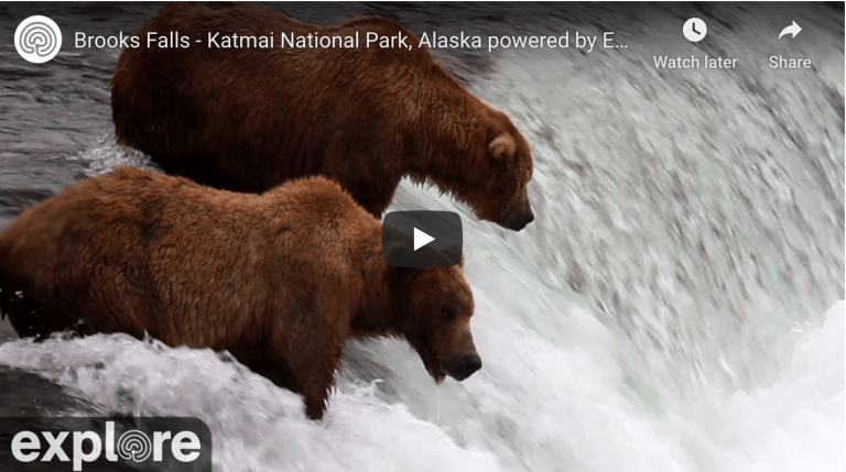 Brooks Falls – LIVE WEBCAM!