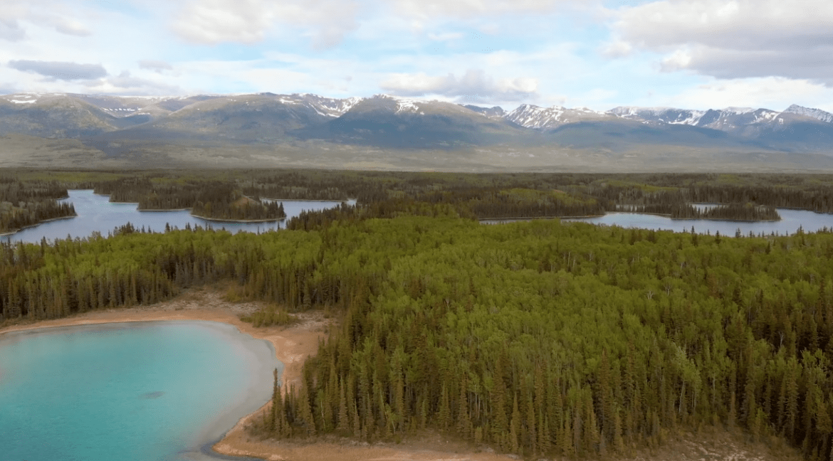 North to Alaska