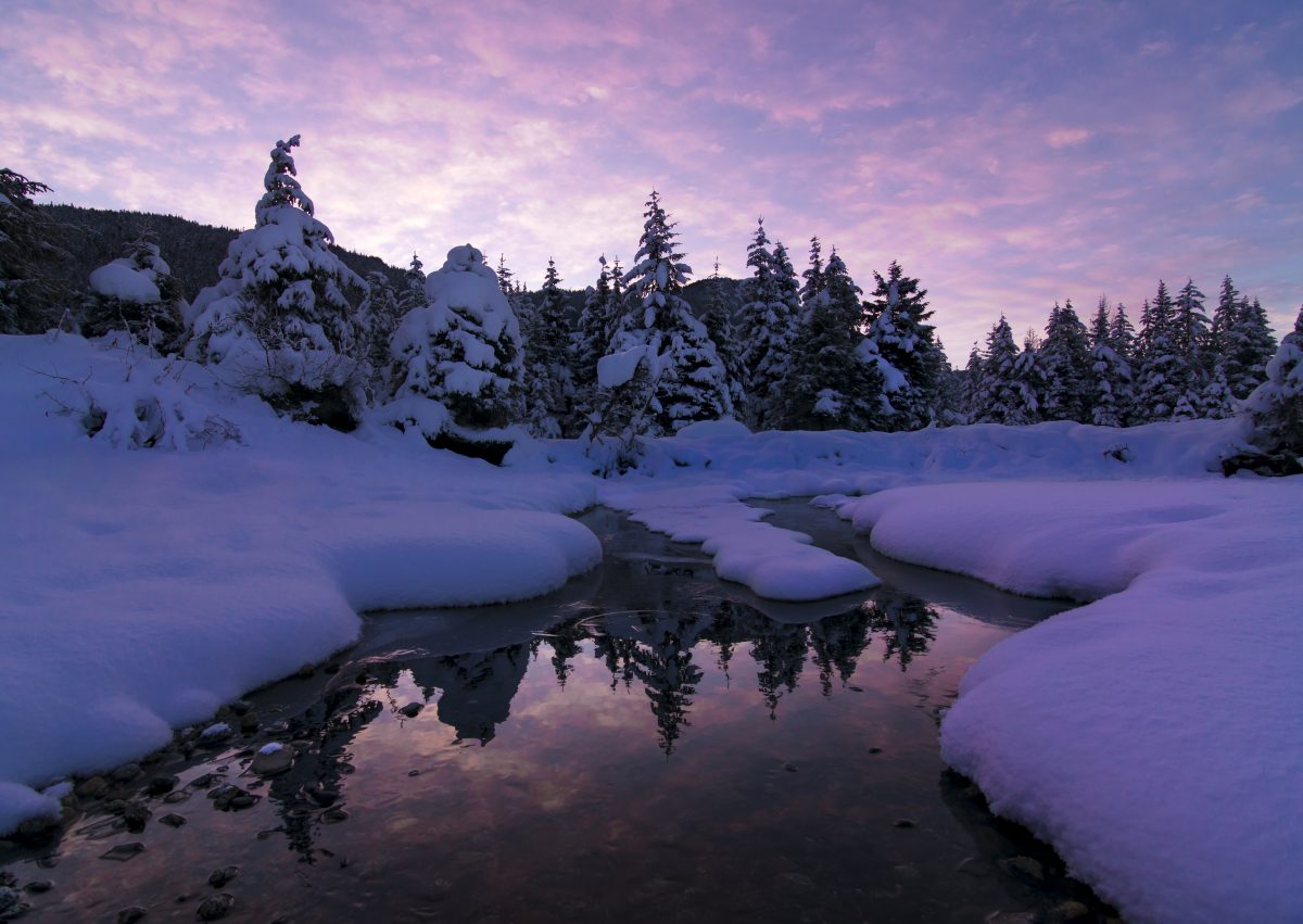 dæk cyklus Grænseværdi Alaska Magazine | Juneau, Alaska: Winter Like a Local