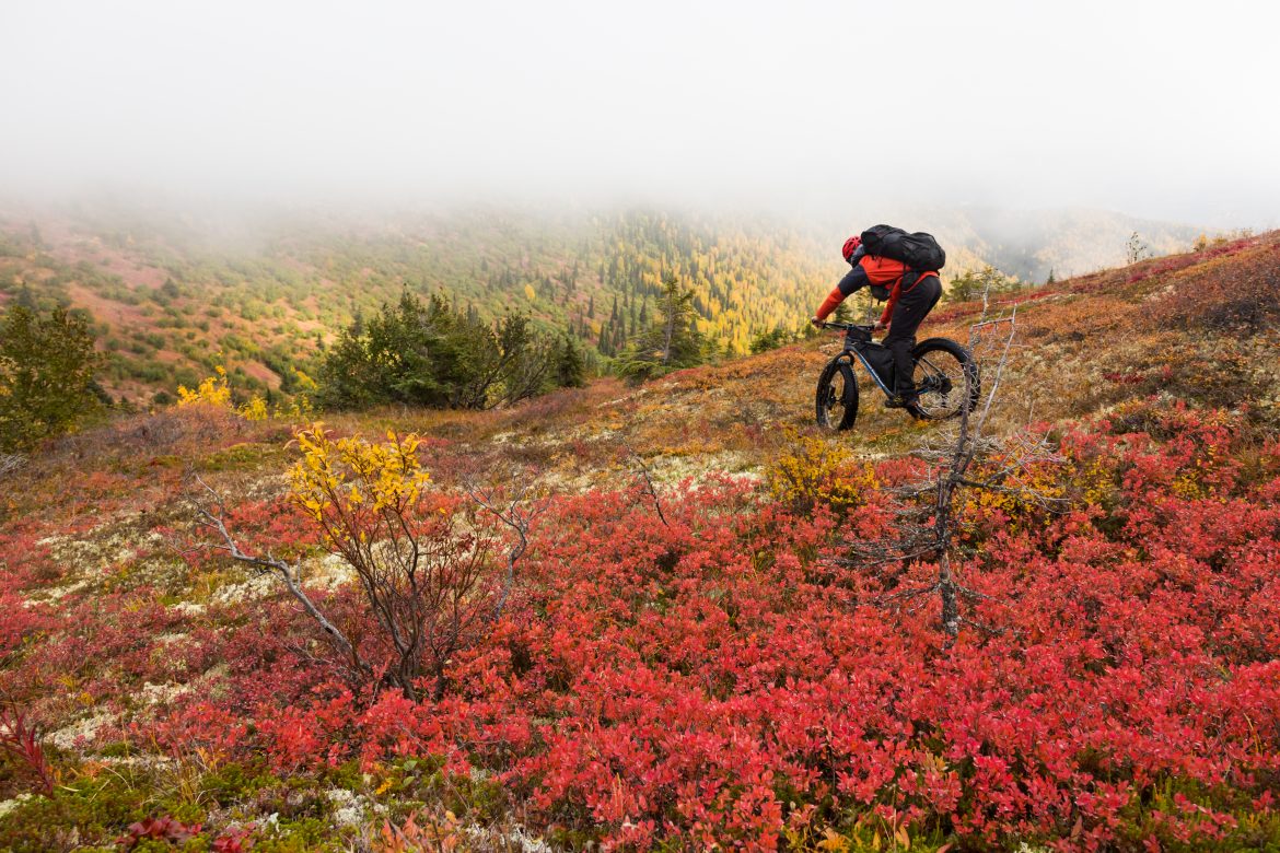 Biker rides over colorful tundra beneath fog