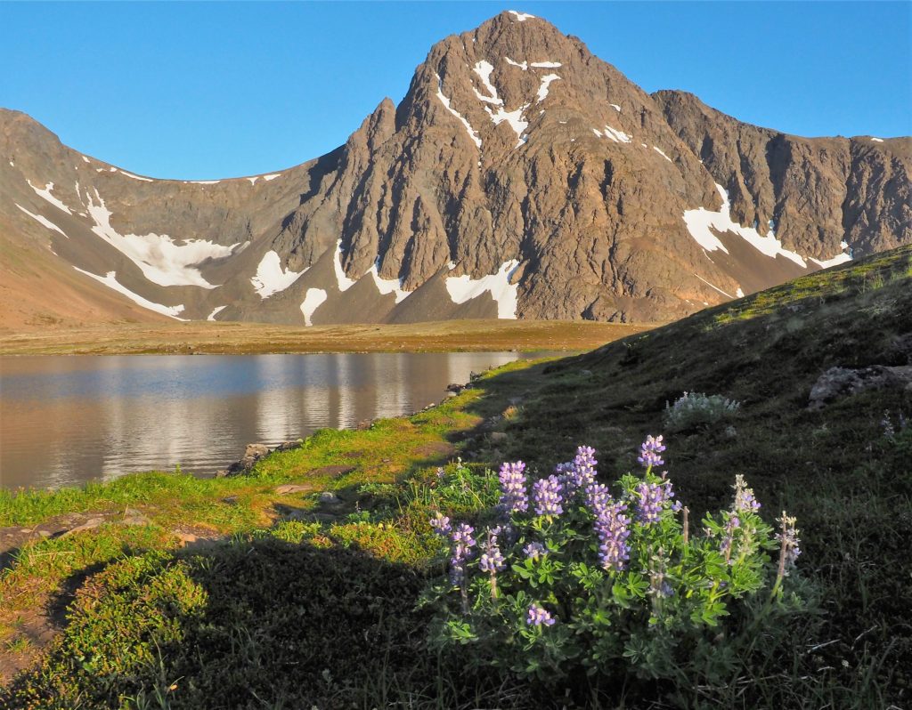South Suicide Peak and Rabbit Lake Alaska