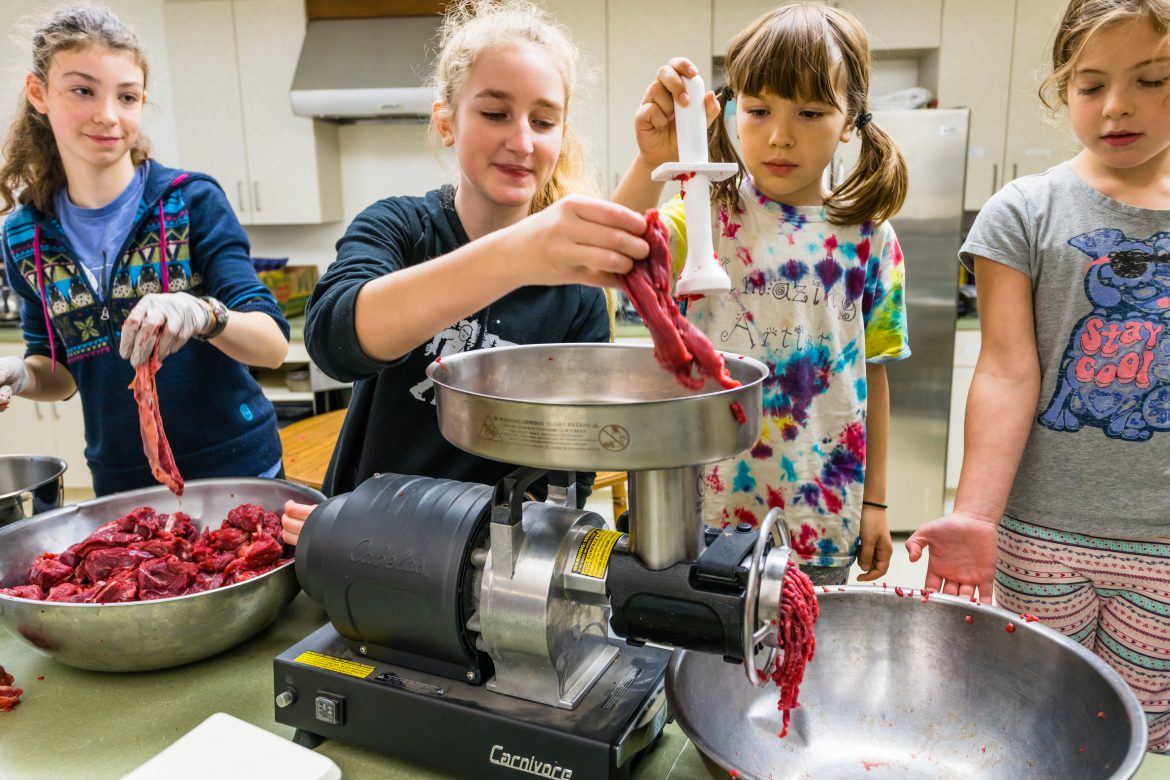 Four girls run chunks of moose through a meat grinder to make burger