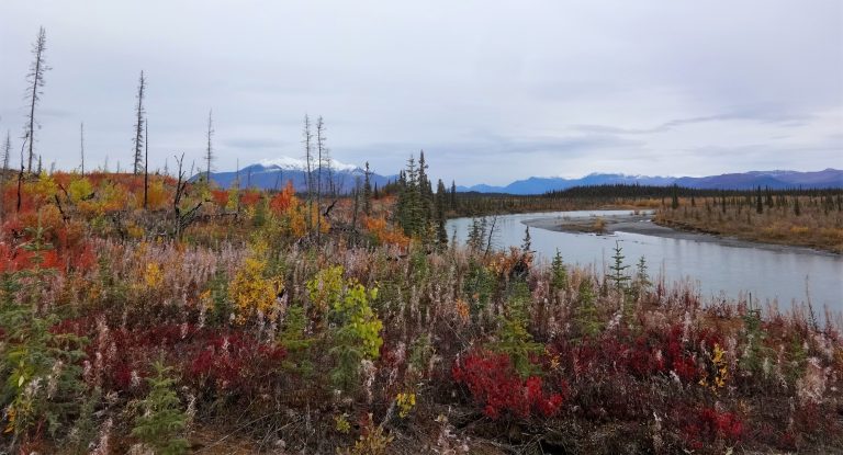 Junjik River with fall colors