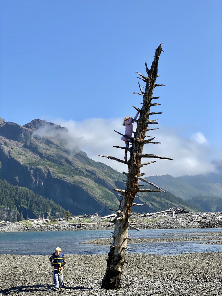 Young girl climbs a dead tree with scenic mountains behind