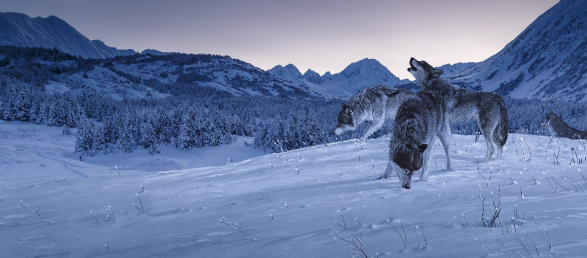 Wolves painted on winter landscape photo