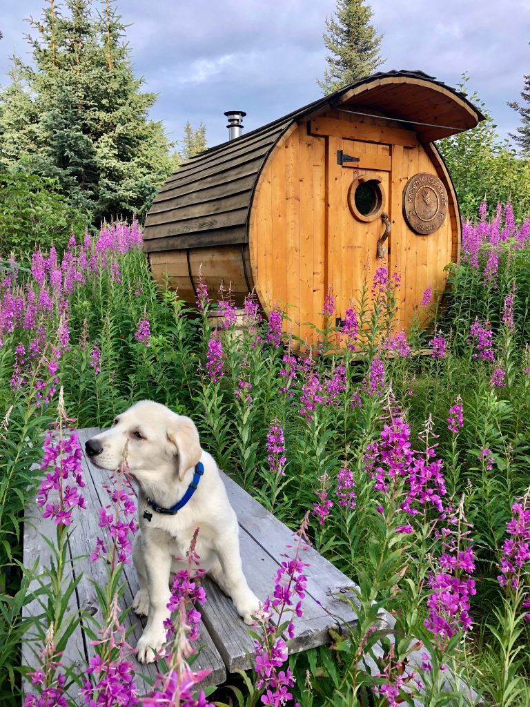 Barrel sauna