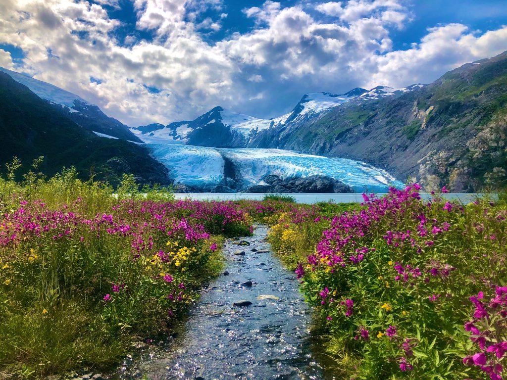 Rock path between wildflowers and greenery leads to lake, glacier, and mountains under a sky with fluffy white clouds.