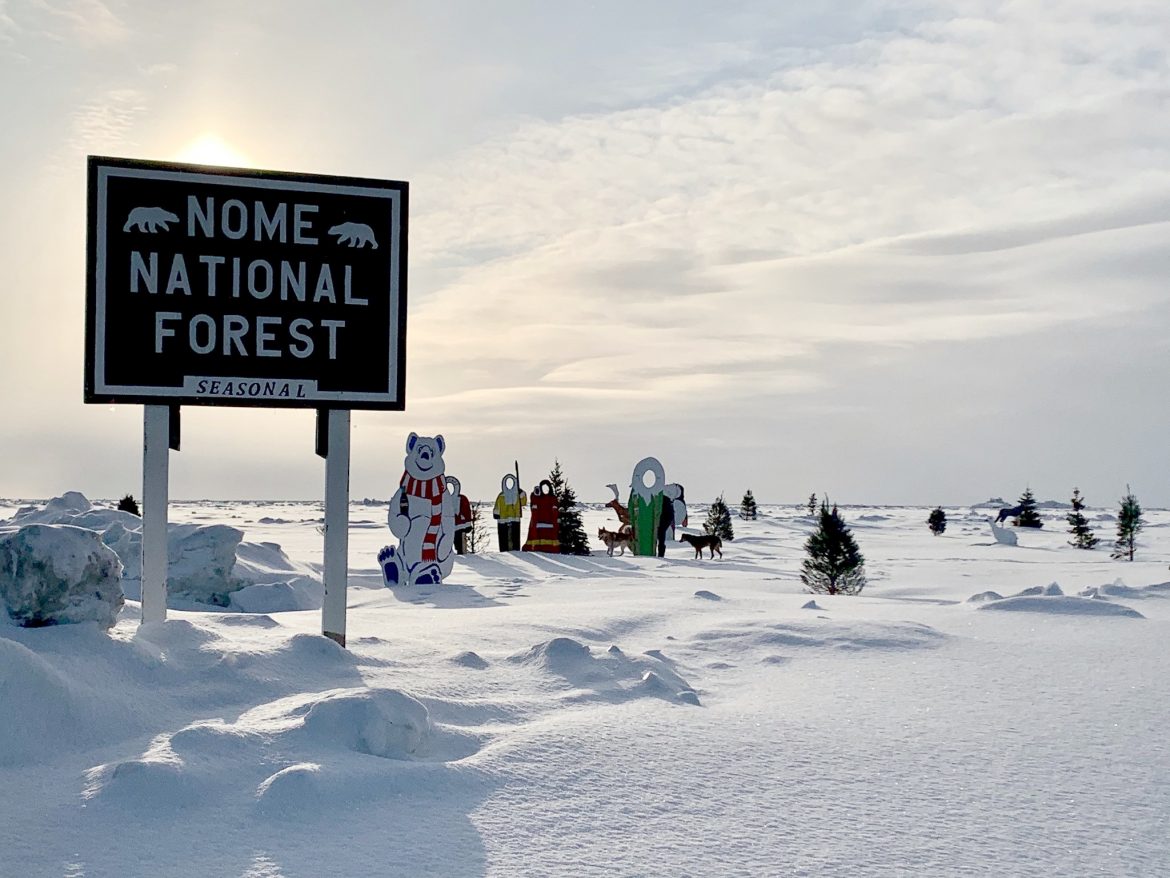 Nome National Forest sign, trees and figures on snow and ice