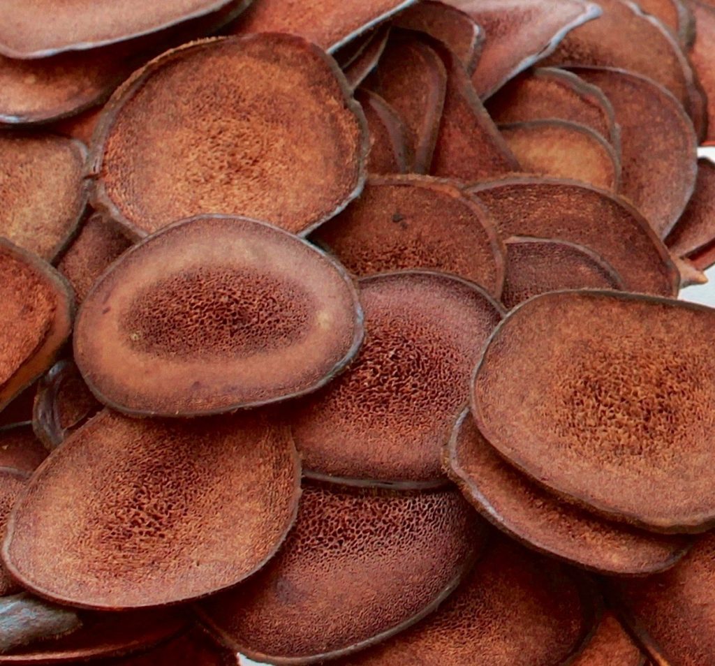 pile of sliced antler discs