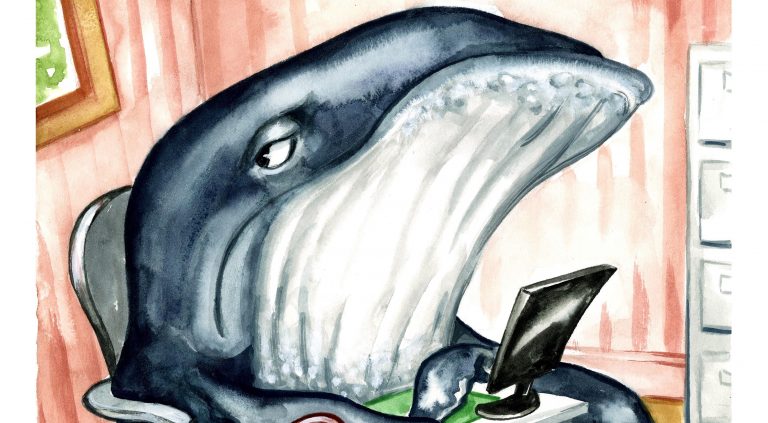 Ask Alaska: Wildlife Trivia Humpback whale cropped