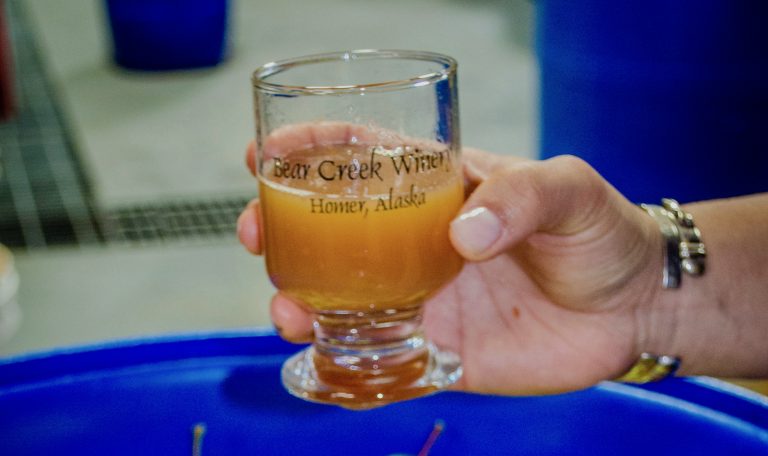 Fruit Wine from Bear creek winery