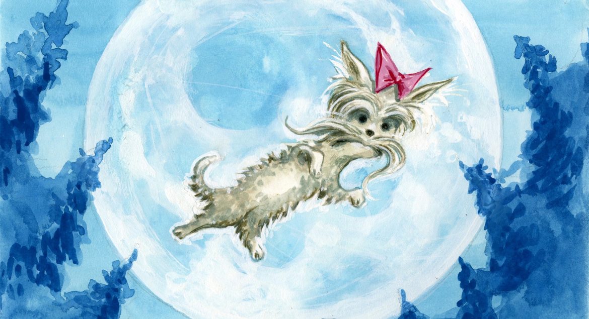 the supposed wolf seen by jack london