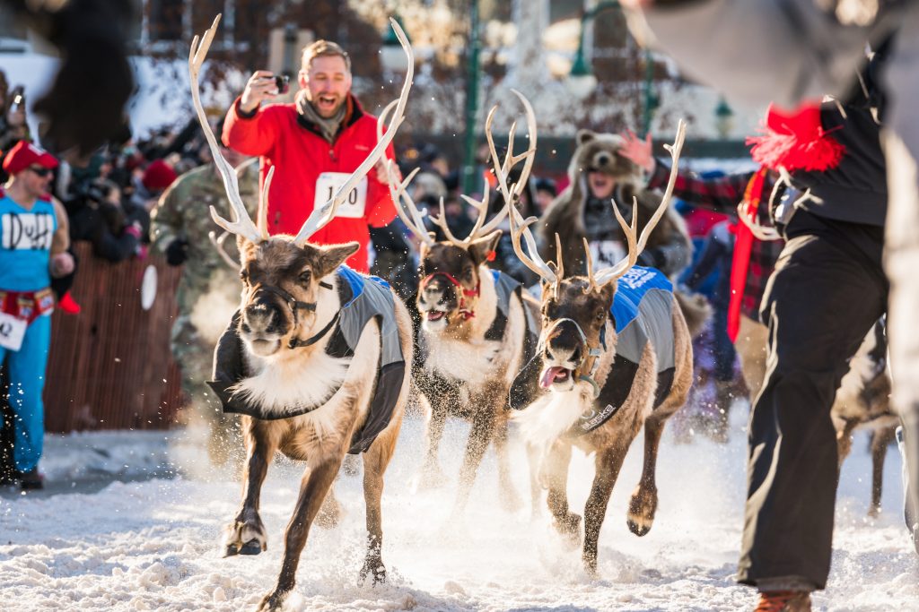 reindeer run alongside people