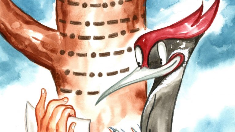 wood pecker learns morse code because there is no cell phone reception in Alaska