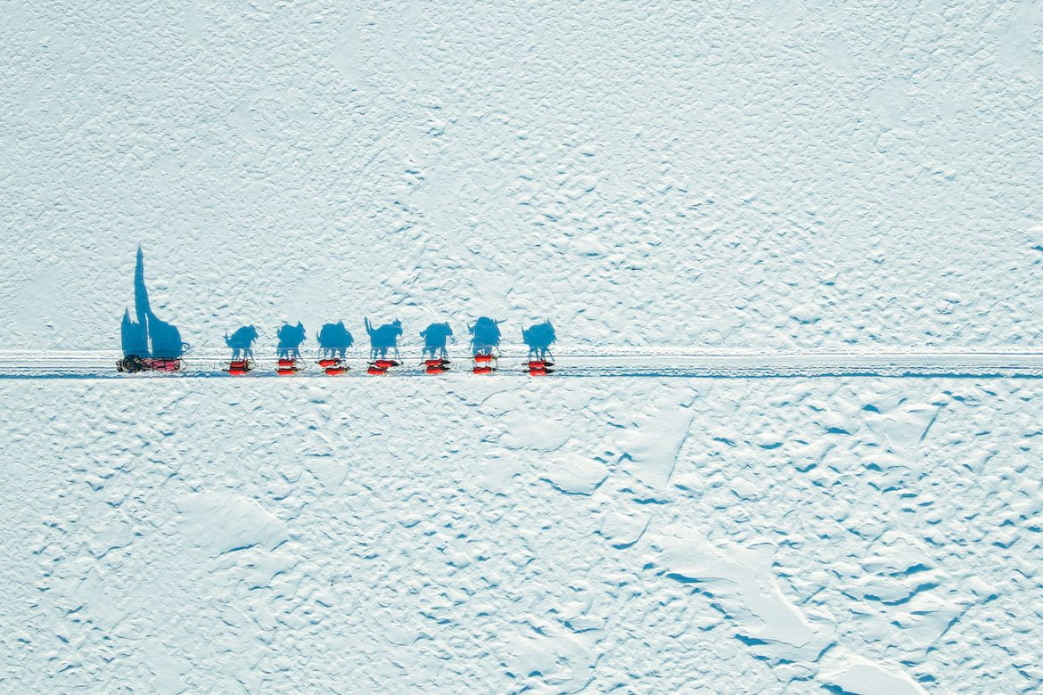 2021 Photo Contest Winners Aerial photo of a musher crossing a white expanse. A low sun casts shadows of the musher and his team on the snow.