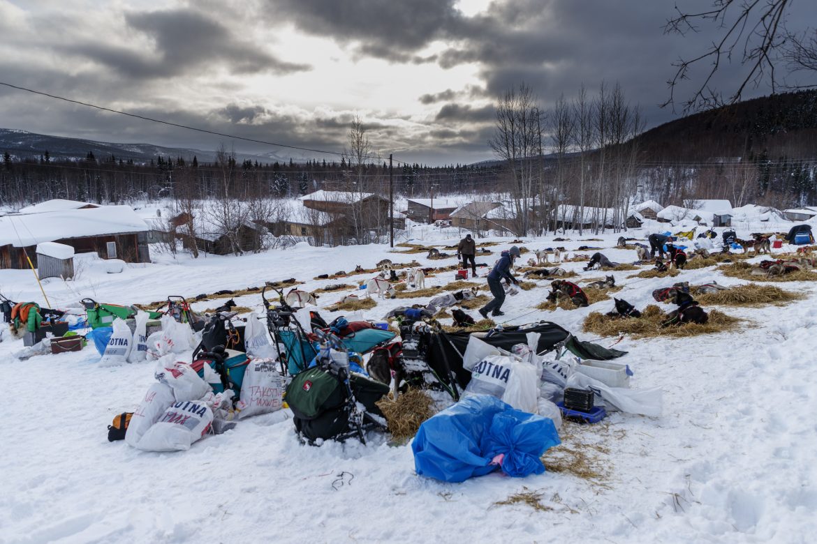 Takotna, a Small Town with a Big Iditarod Welcome Dog teams rest on a snow-covered slope in Takotna