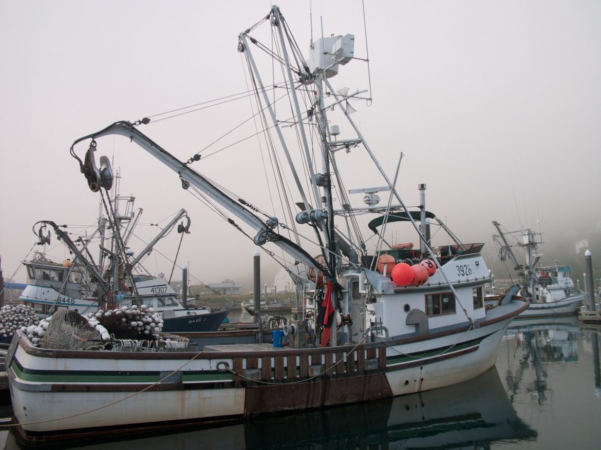 Skipper Science App Helps Track a Changing Ocean Fishing boat in harbor on a foggy day