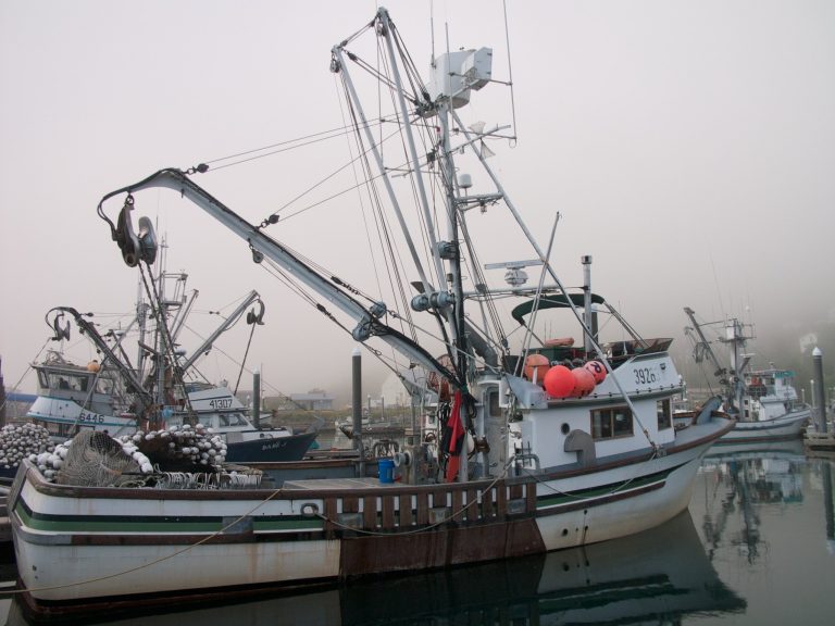 Fishing boat in harbor on a foggy day