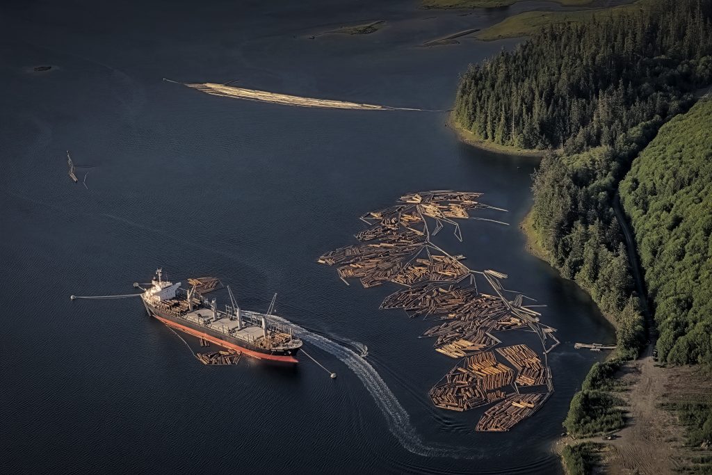 Aerial photo of a large cargo ship and floating logs off a forested coast
