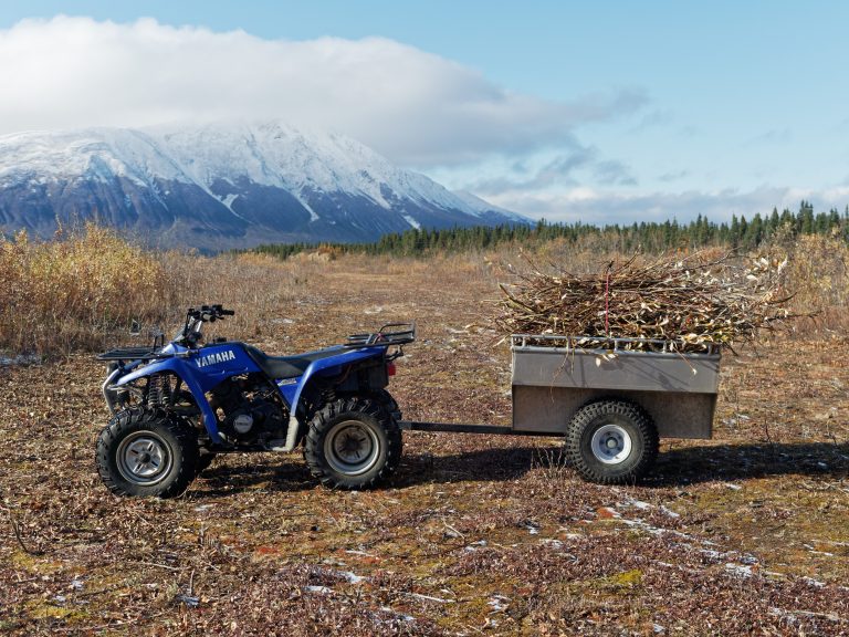 A trailer piled high with sticks is attached to a four-wheeler in a remote landscape