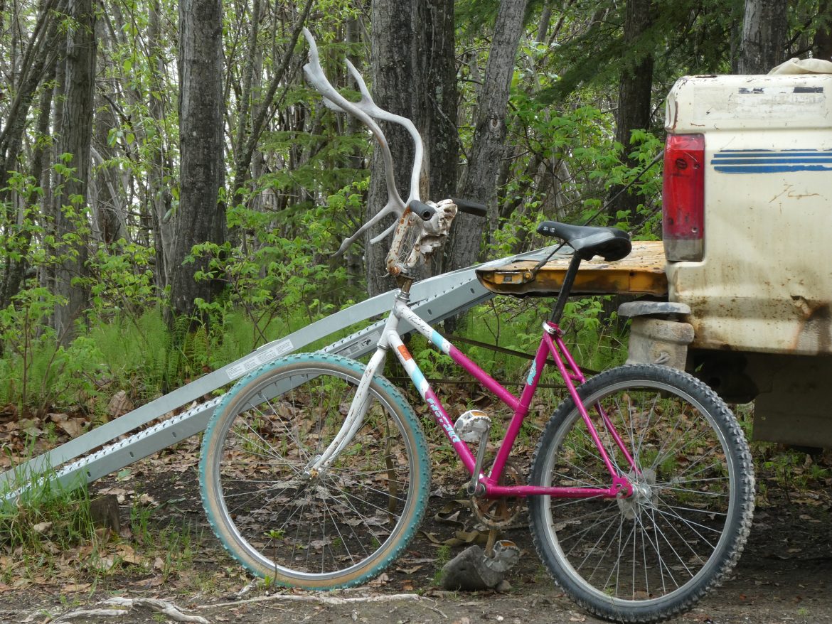 Sometimes you find weird stuff off the beaten path.