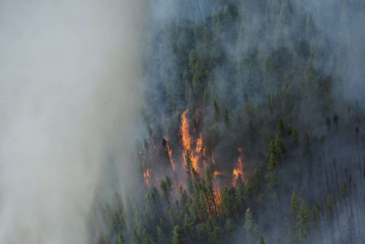 The Hog Butte Fire burns in interior Alaska last summer.