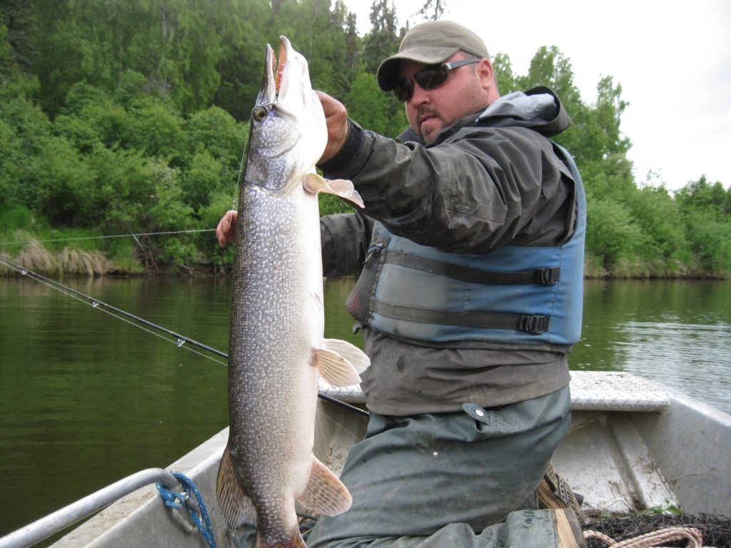 Alaska Magazine  Fishing the Hoholitna River